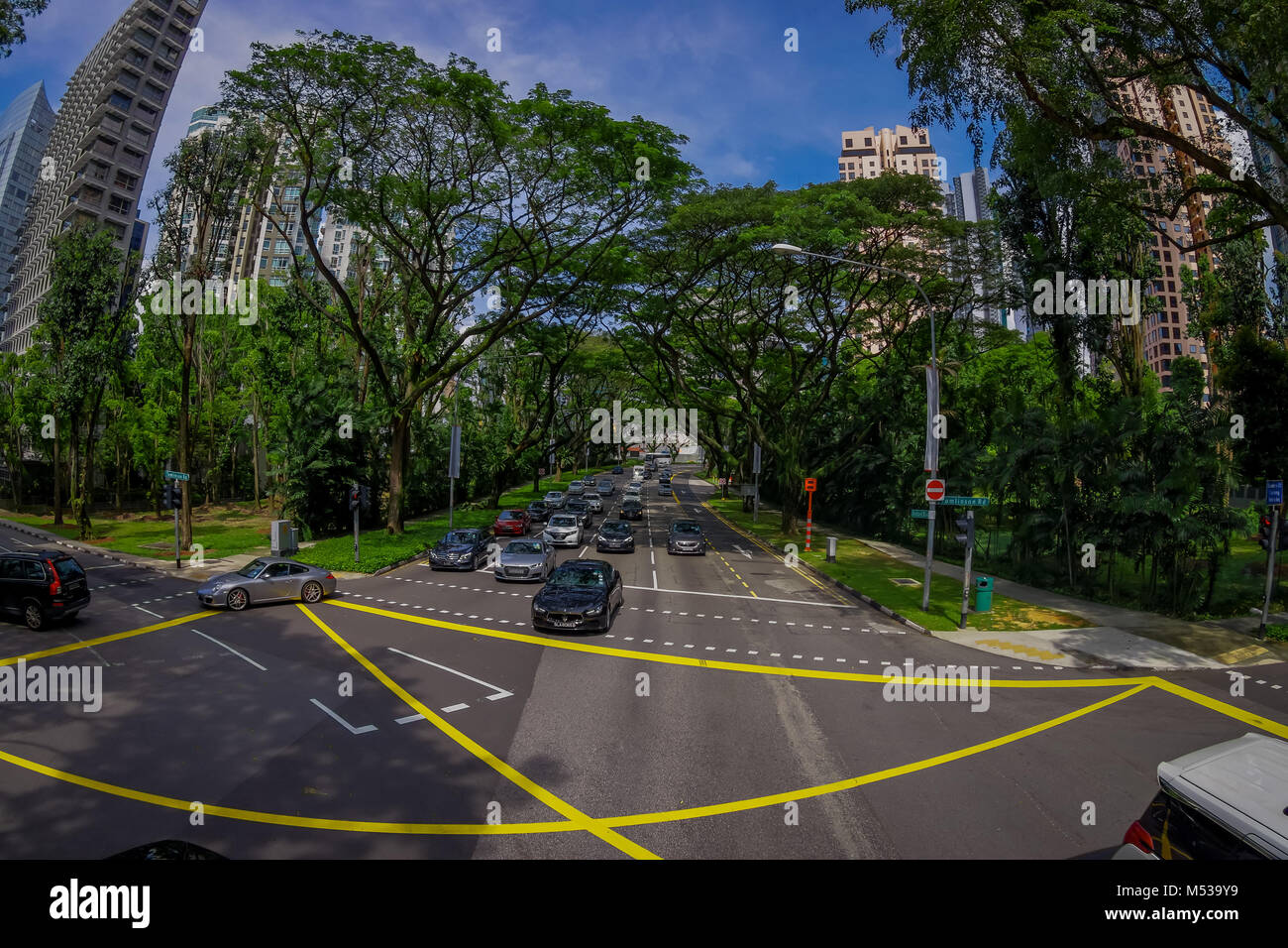 Singapur, Singapur - Januar 30. 2018: Im freien Blick auf viele Autos in einer Straße in der Umgebung der Vegetation an öffentlichen Wohngebiet Kondominium Komplex und Downtown Skyline auf Kallang Nachbarschaft in Singapur, Fischaugen-Effekt Stockfoto