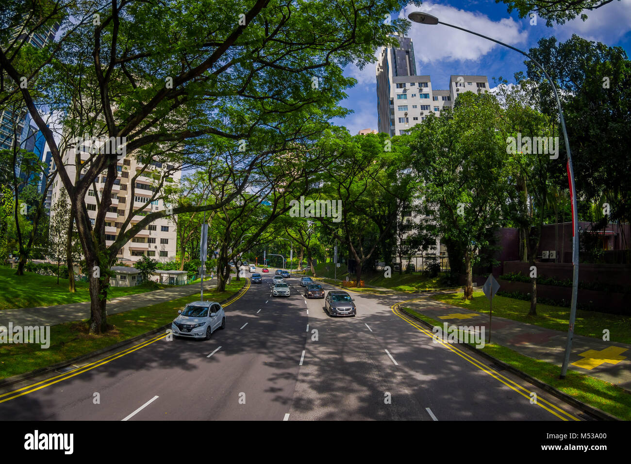 Singapur, Singapur - Januar 30. 2018: Schöne im Blick auf viele Autos in einer Straße in der Umgebung der Vegetation an öffentlichen Wohngebiet Kondominium Komplex und Downtown Skyline auf Kallang Nachbarschaft in Singapur, Fischaugen-Effekt Stockfoto