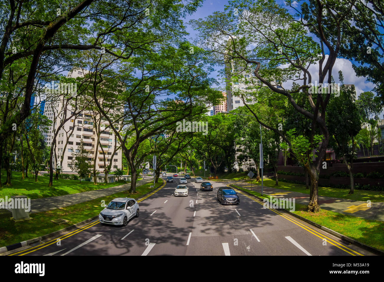 Singapur, Singapur - Januar 30. 2018: Schöne im Blick auf viele Autos in einer Straße in der Umgebung der Vegetation an öffentlichen Wohngebiet Kondominium Komplex und Downtown Skyline auf Kallang Nachbarschaft in Singapur, Fischaugen-Effekt Stockfoto