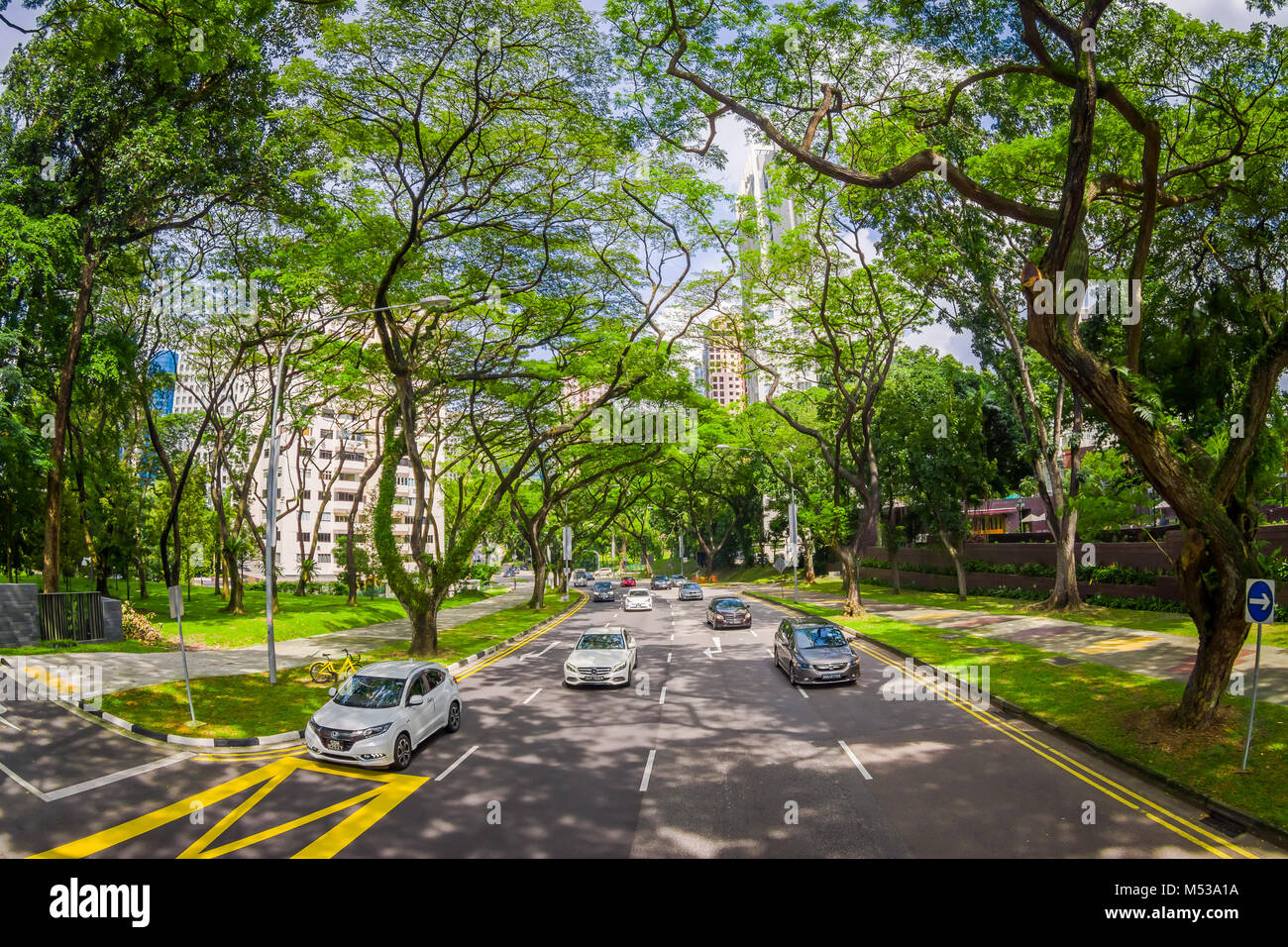 Singapur, Singapur - Januar 30. 2018: Schöne im Blick auf viele Autos in einer Straße in der Umgebung der Vegetation an öffentlichen Wohngebiet Kondominium Komplex und Downtown Skyline auf Kallang Nachbarschaft in Singapur, Fischaugen-Effekt Stockfoto