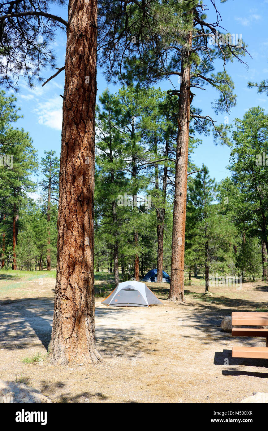 Grand Canyon National Park Mather Campground. Mather Campground Zelt  Website - keine Hook-ups. - 30-Fuß-Anhänger oder RV max. Das ganze Jahr  über geöffnet. Vom National Park Service betrieben und im Grand Canyon