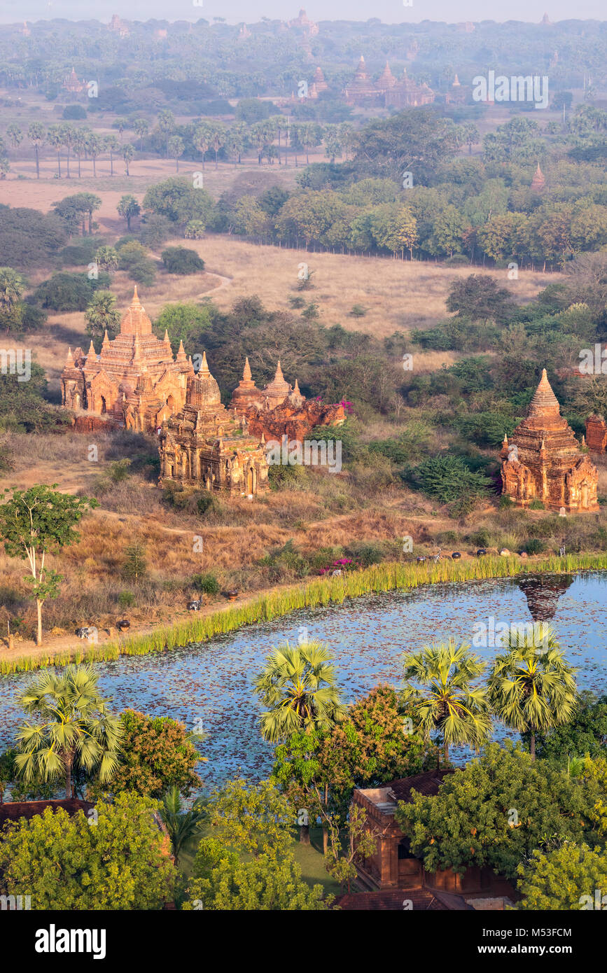 Bagan Tempel und Pagoden in Myanmar Stockfoto