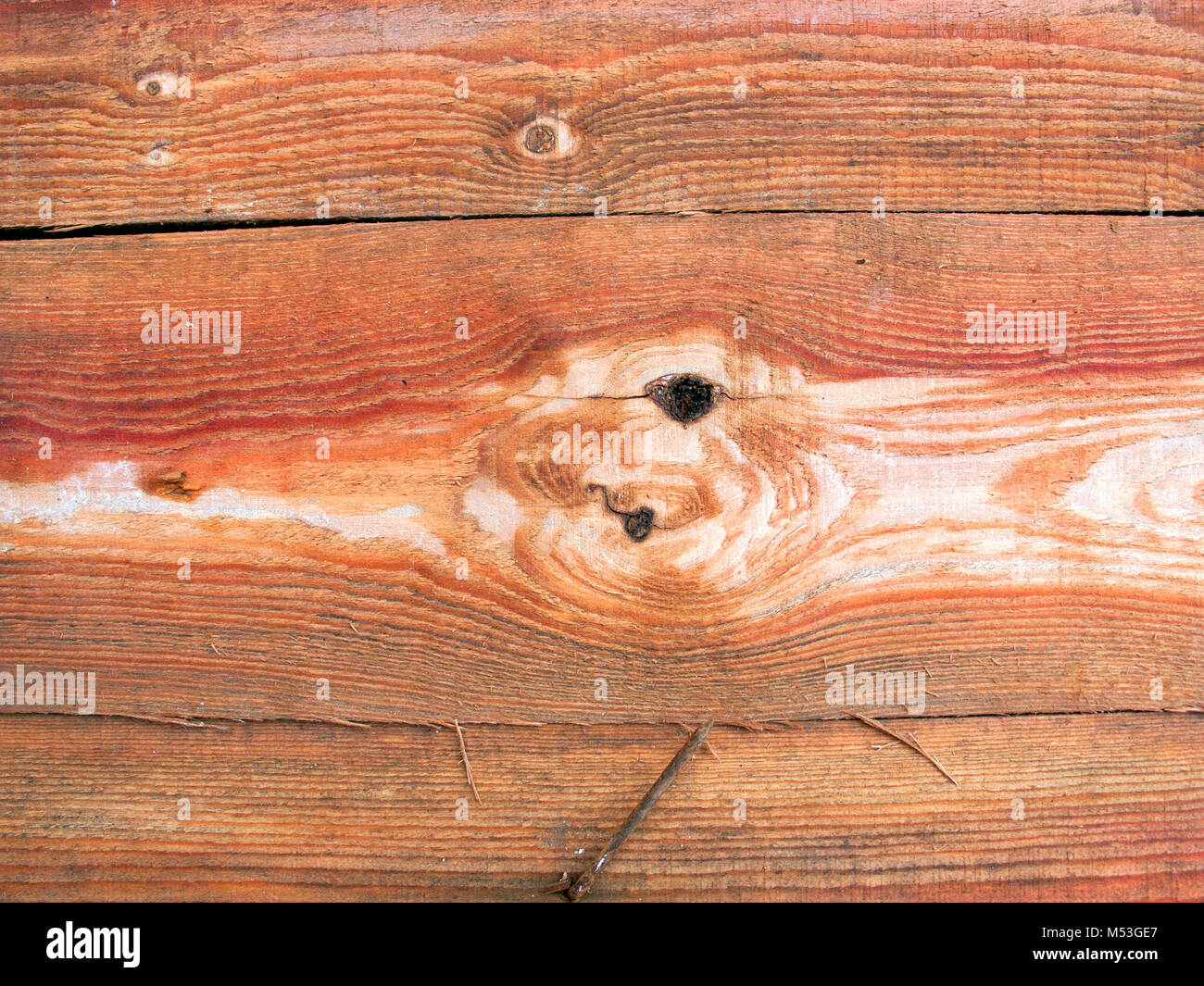 Textur des Lichts Holzbretter mit Flecken und alten Nagel, können als Hintergrund verwendet werden Stockfoto