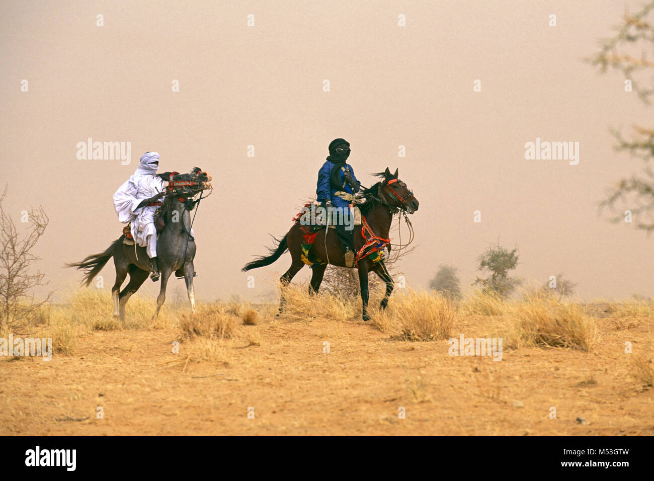 Mali. Bamba, Gao. Sahara. Sahel. Männer von Songhai, Songrai Stamm auf Pferde im Sandsturm. Stockfoto