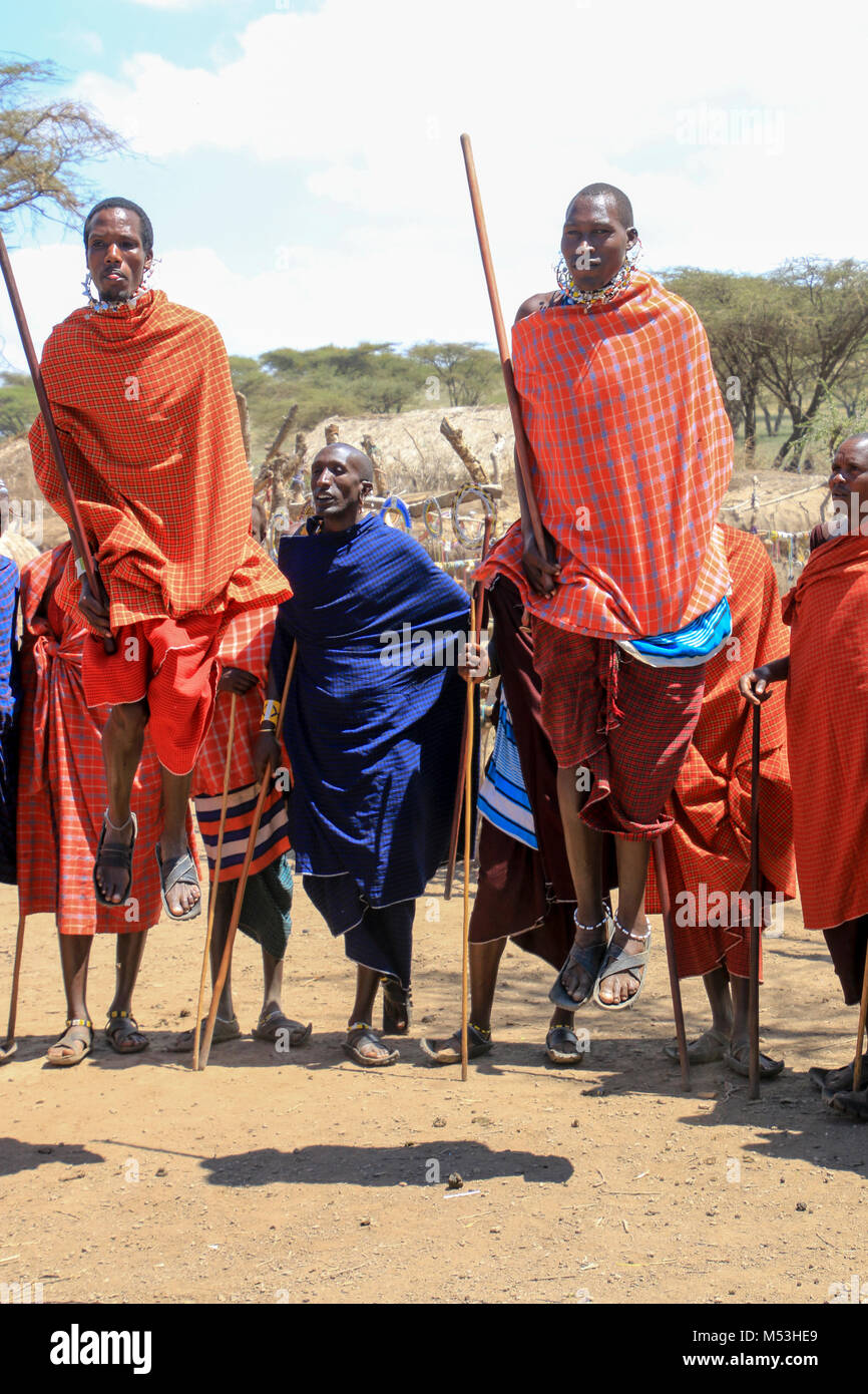 Maasai Krieger tanzen im Dorf in der Nähe von Ngorongoro Krater, Tansania Stockfoto