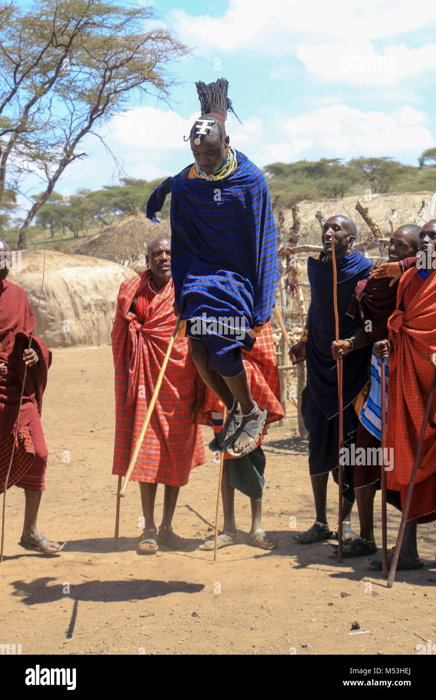 Maasai Krieger tanzen im Dorf in der Nähe von Ngorongoro Krater, Tansania Stockfoto