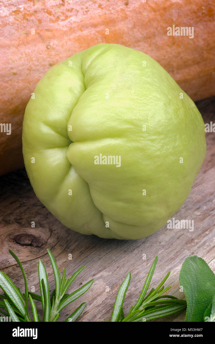 Die chayote (Sechium edule) ist ein Gemüse aus Südamerika Stockfotografie -  Alamy