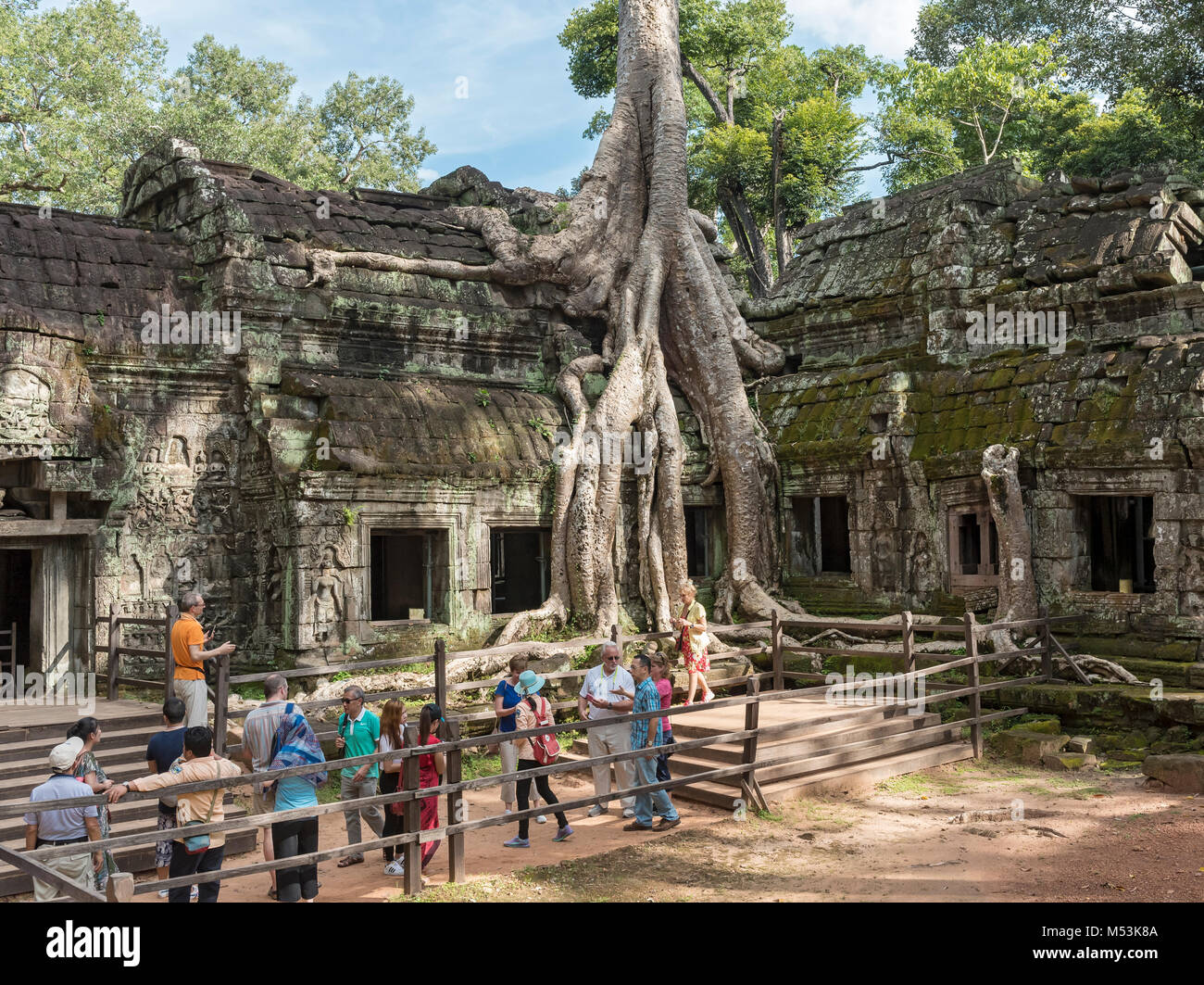 Touristen Warteschlange in der Linie zu Fotos der spung Baum an Ta Prohm Tempel in Angkor, Kambodscha nehmen Stockfoto