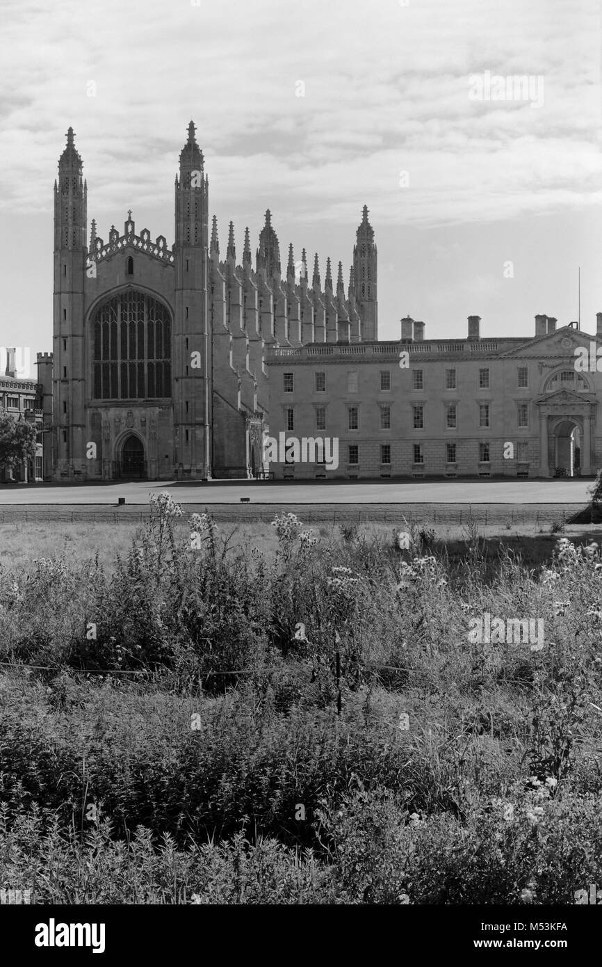 King's College Cambridge vom Rücken Stockfoto
