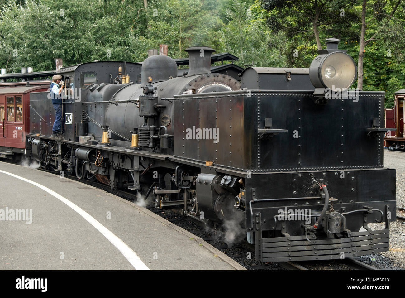 Puffing Billy G42 Garratt Lokomotive bei Belgrave, Victoria, Australien Stockfoto