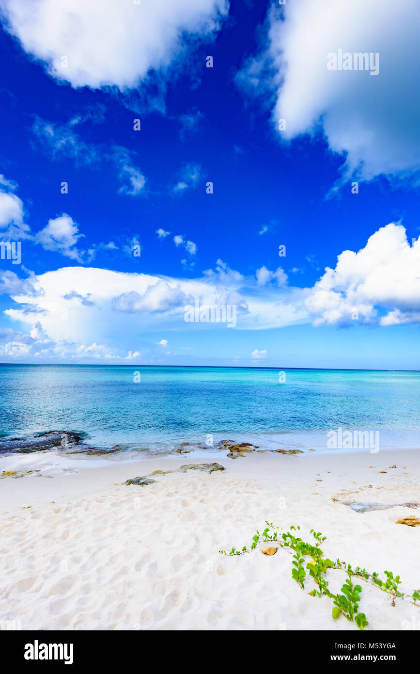 Paradise tropical beach palm das Karibische Meer Stockfoto