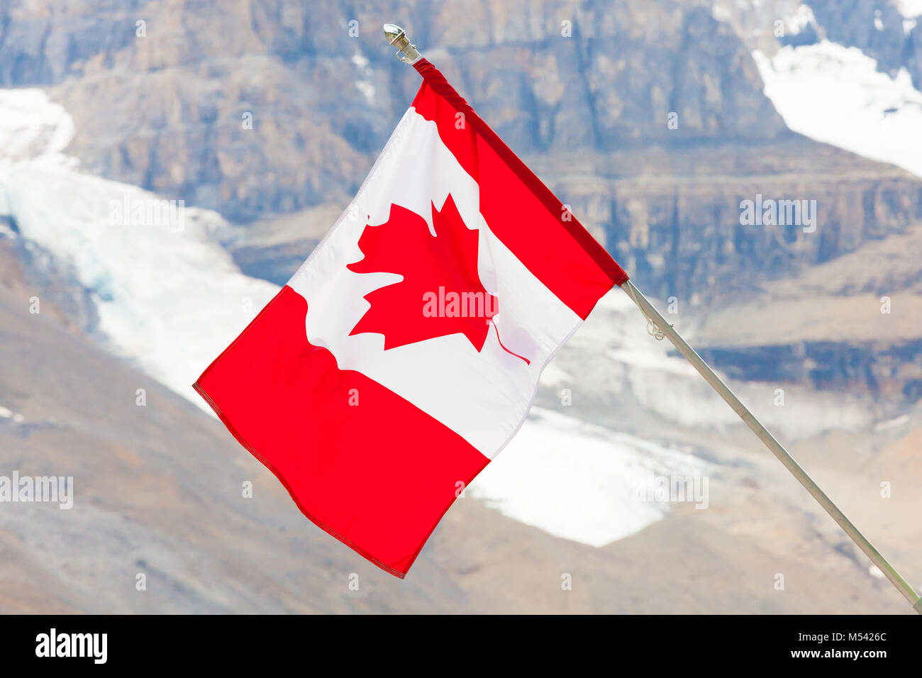 Kanadische Flagge auf Athabasca Gletscher Stockfoto