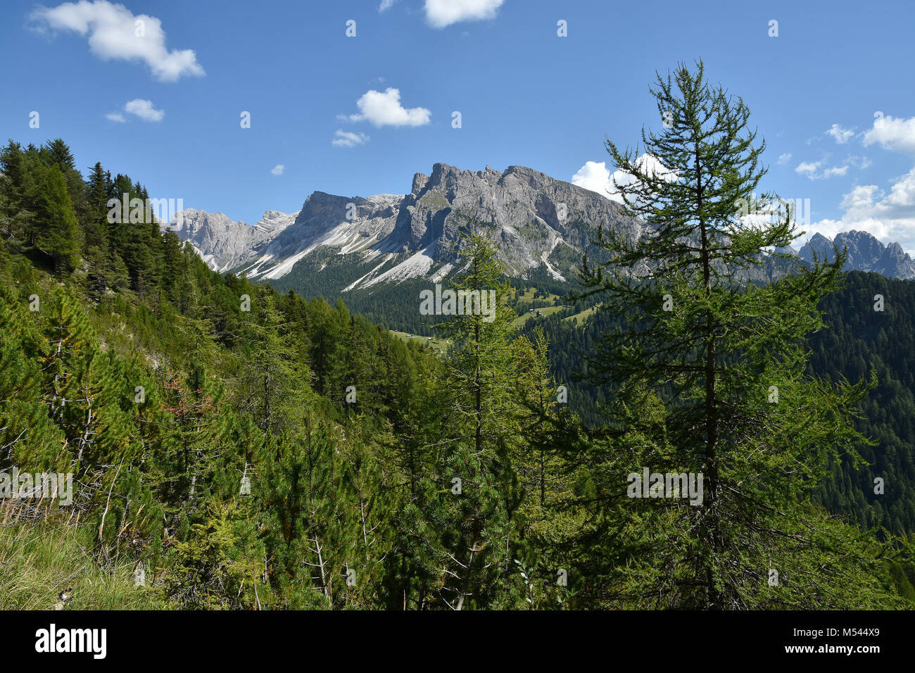 Dolomiten, Südtirol; Italien; Naturpark Puez - Geisler; Stockfoto