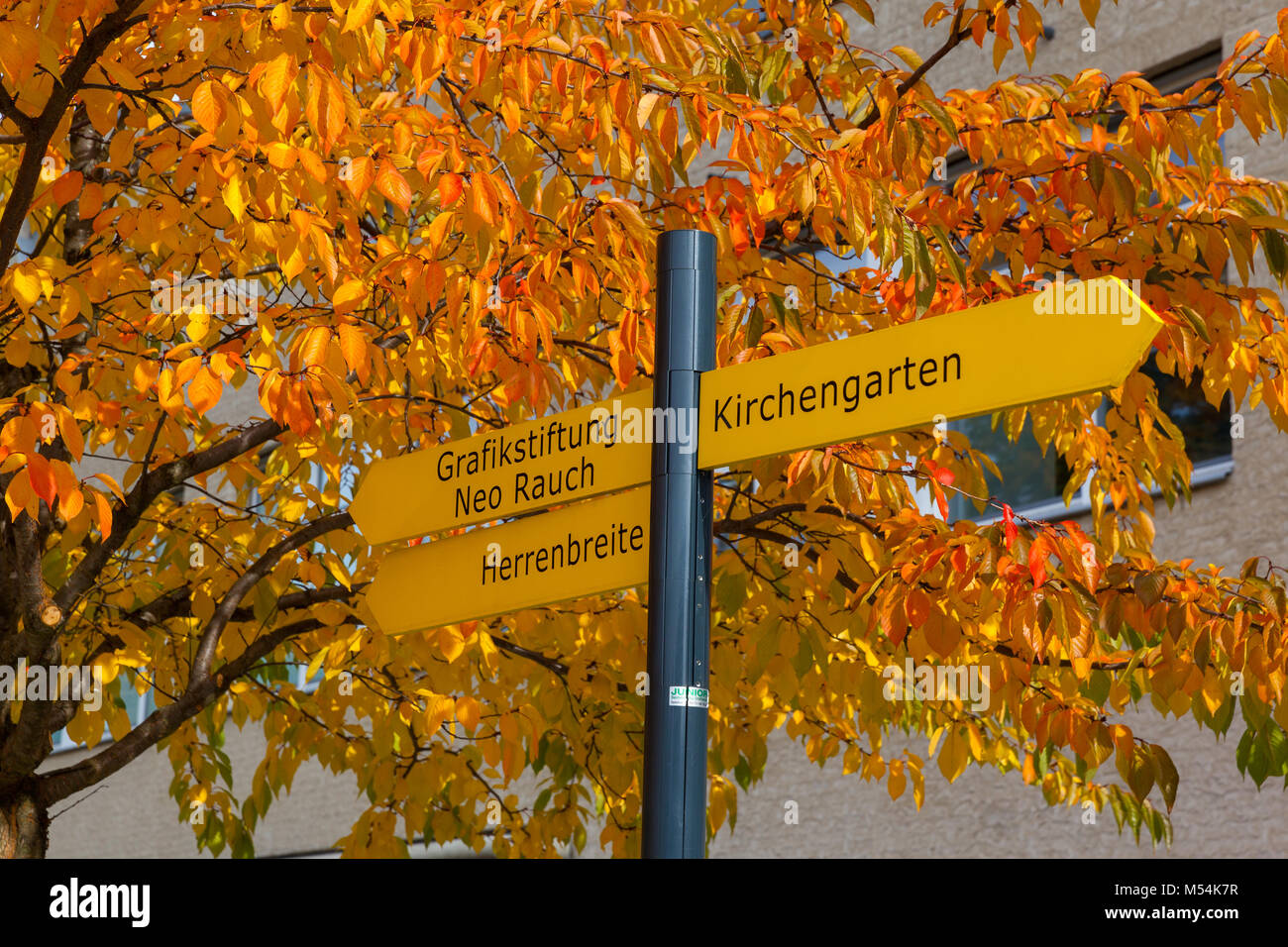 Goldener Oktober in Aschersleben Stockfoto