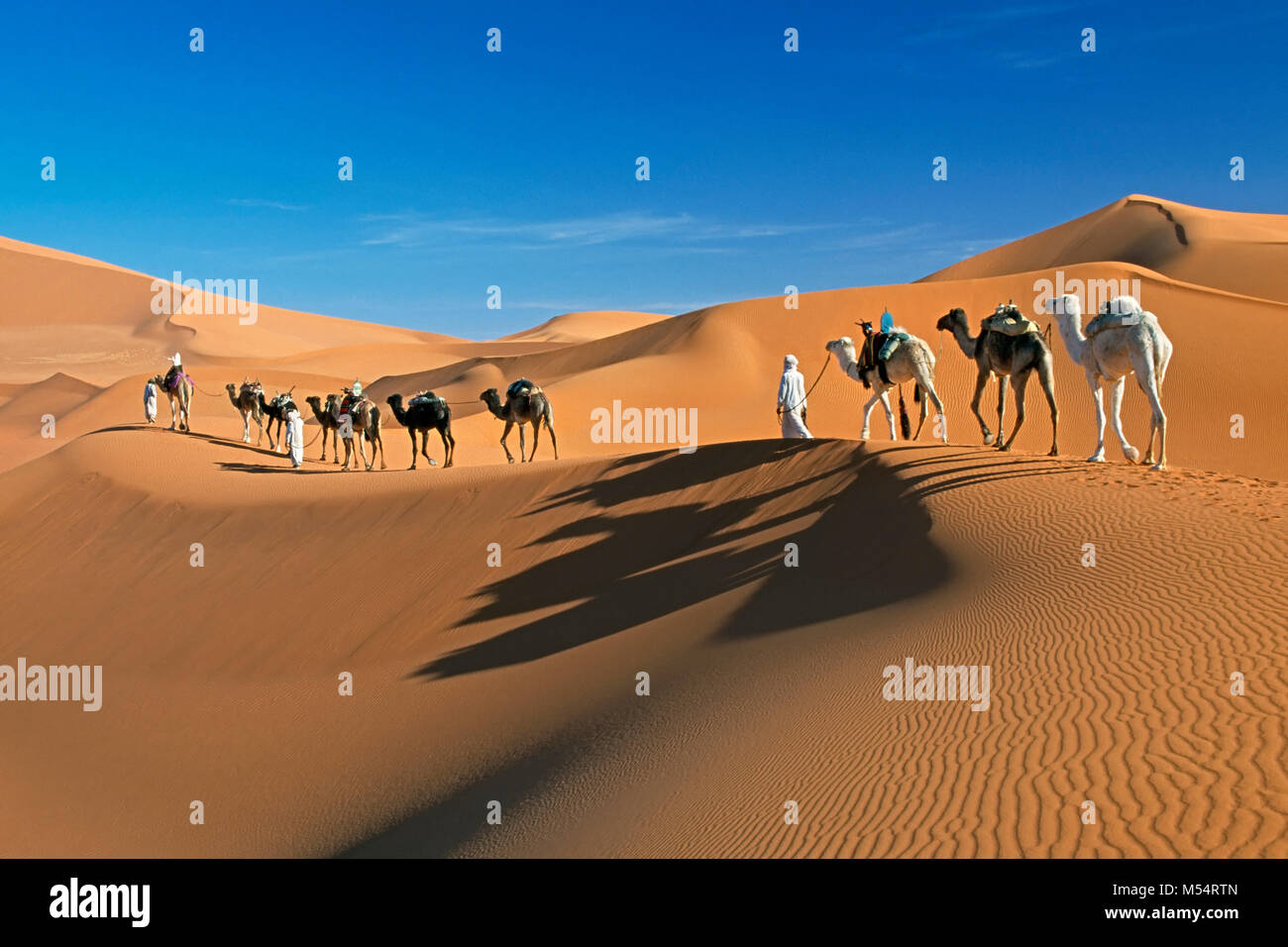 Algerien. In der Nähe von Djanet. Sahara. Männer von Tuareg Stamm und camel Caravan. Dünen und Sand Meer. Stockfoto