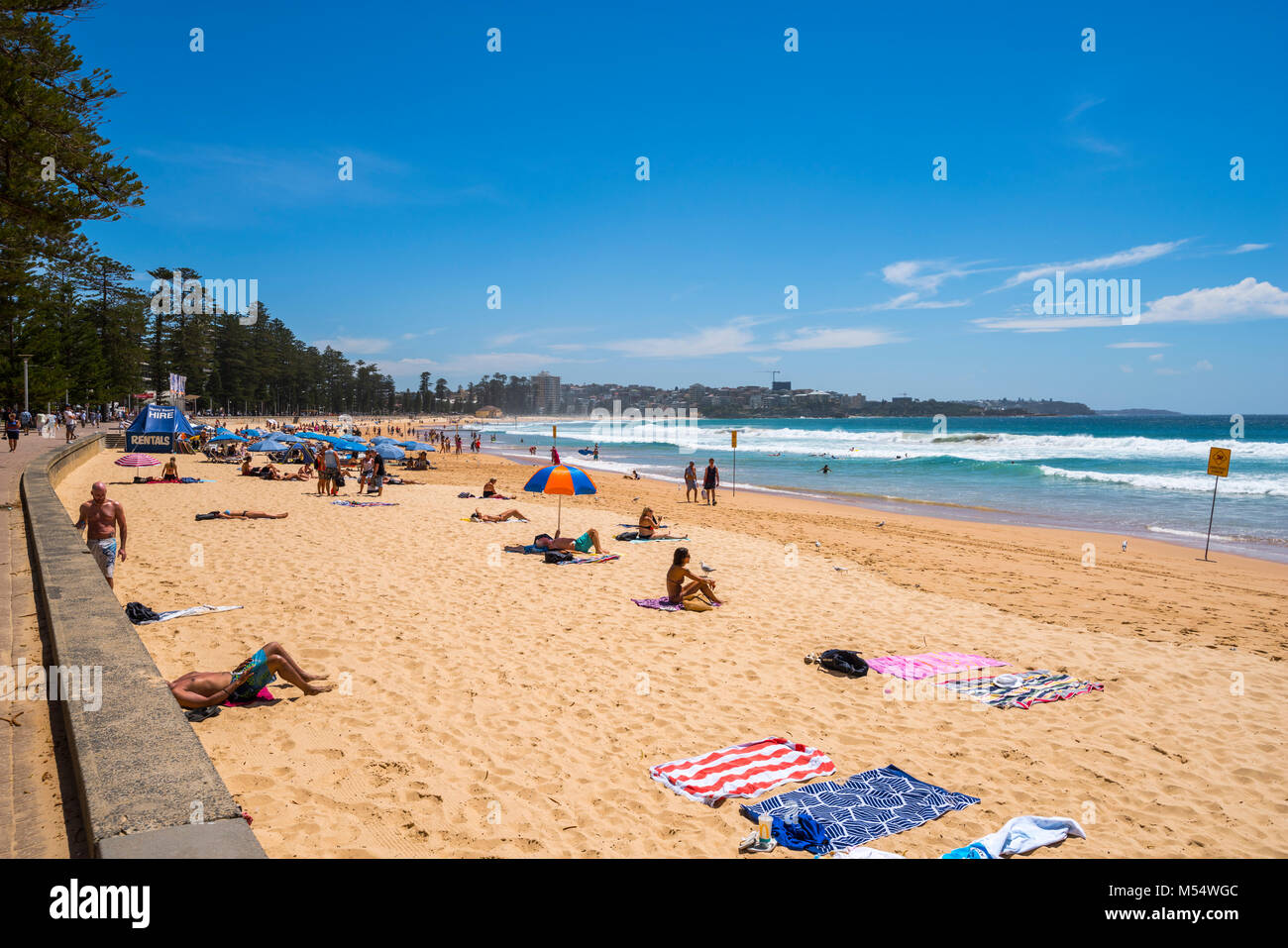 Manly Beach an einem Sommertag mit blauem Himmel, Sydney, Australien Stockfoto