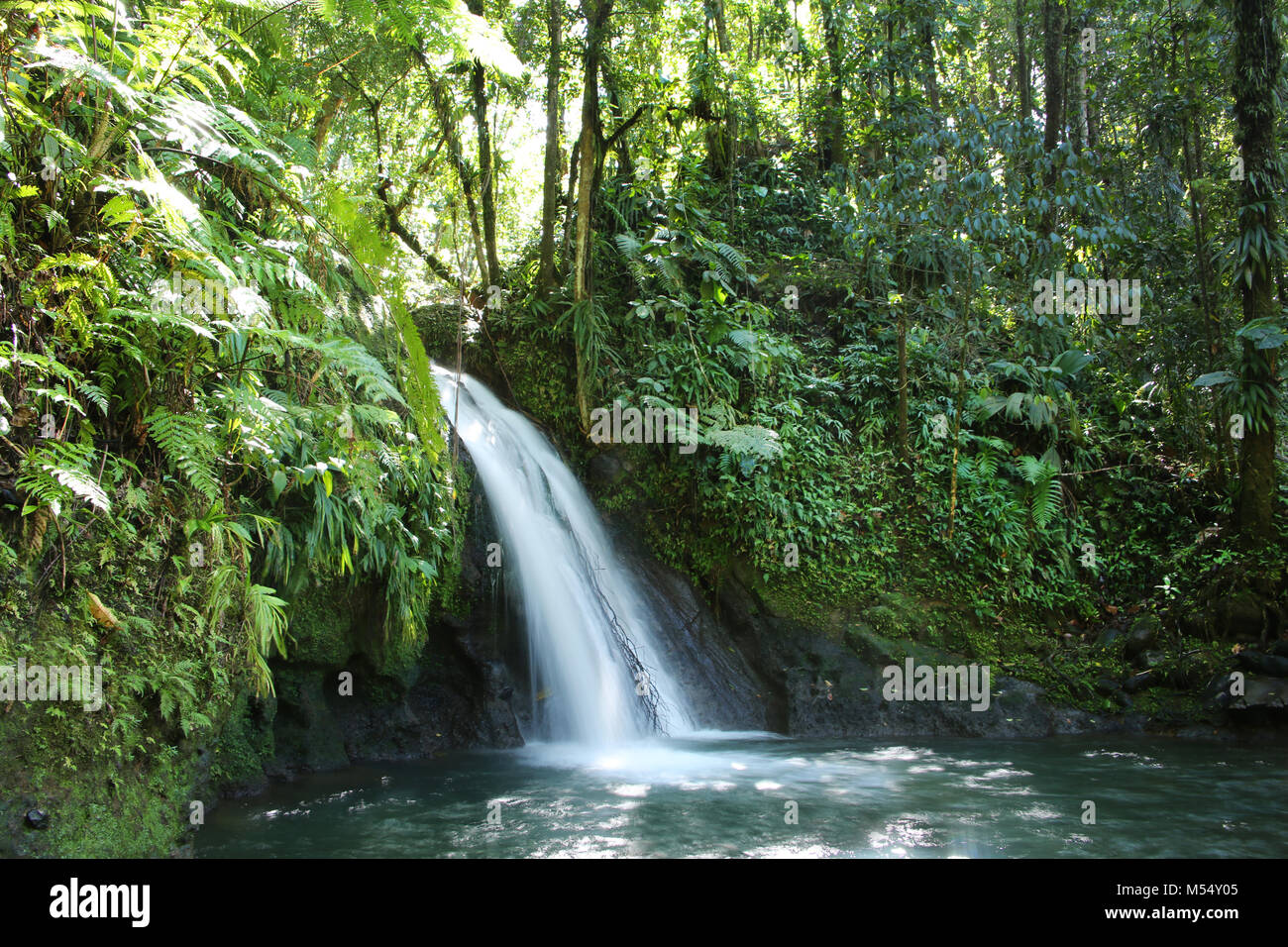 Crayfish Wasserfall oder La Cascade aux Ecrevisses Nationalpark, Guadeloupe, Guadeloupe, French West Indies. Stockfoto