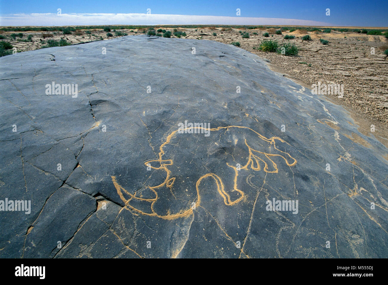 Algerien. In Der Nähe Von Tamanrasset. Tassili du Hoggar. Sahara-Wüste. Prähistorische Schnitzerei von Nashorn, Nashorn. Sand in Linien machen das Design klarer. Stockfoto