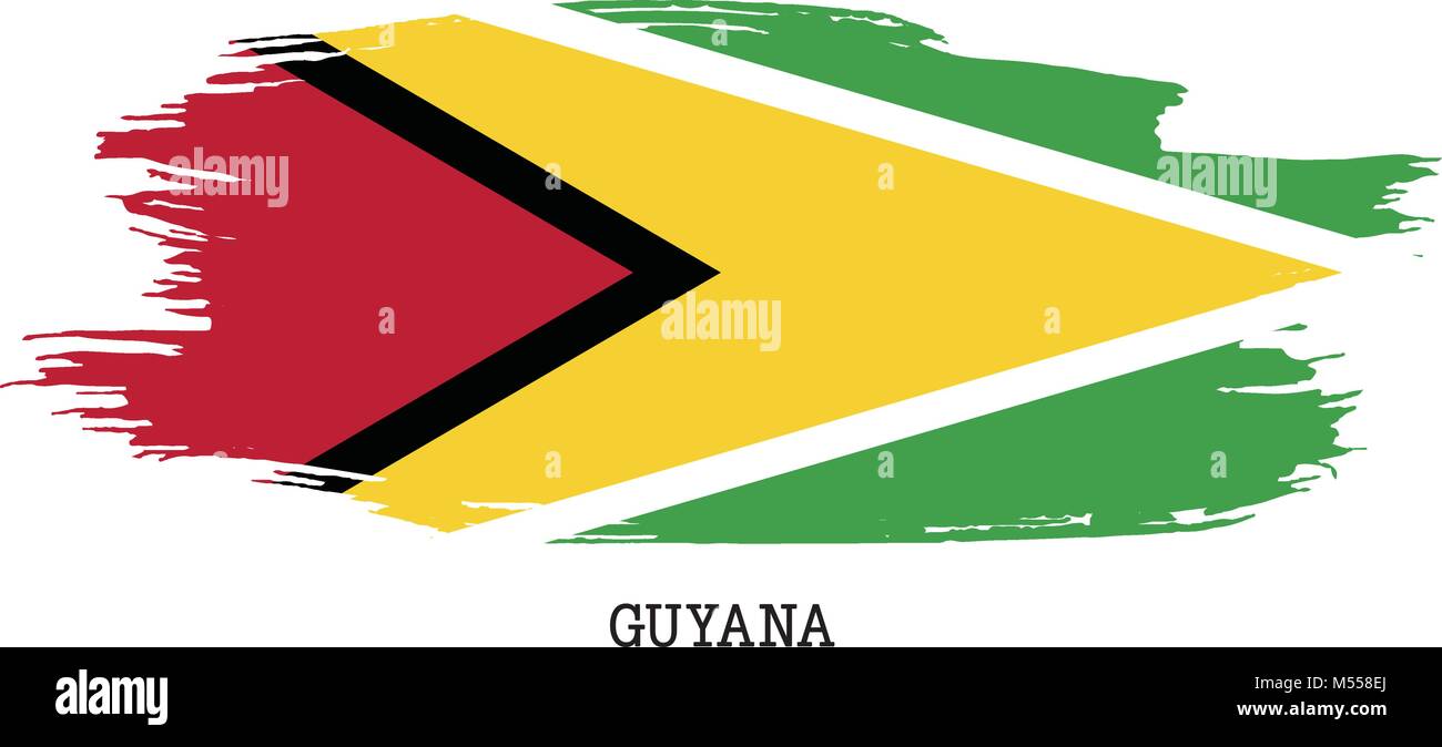 Guyana Flagge Vektor grunge Pinselstrich Stock Vektor