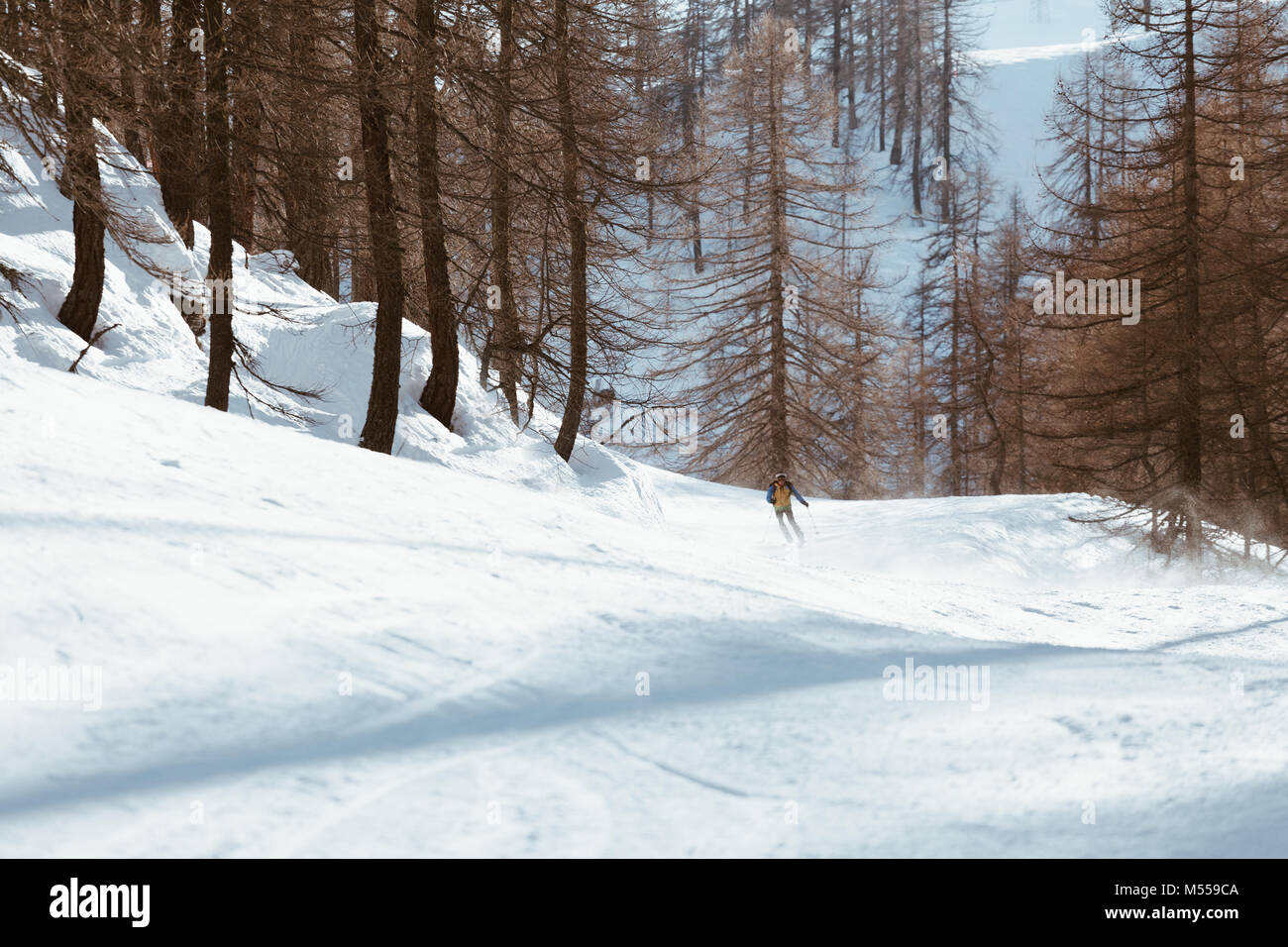 Skier ski den Hang hinunter in den Wald - Abfahrt in den hohen Bergen. Stockfoto