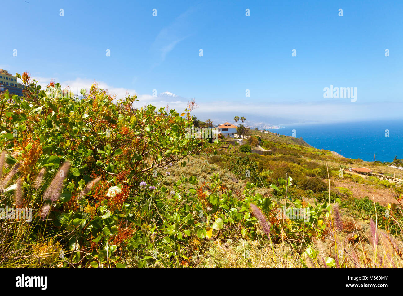 Nord-ost-Küste der Insel Teneriffa mit dem Teide Vulkan Stockfoto