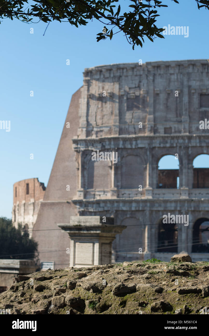 Baum und stein Wand framing Kolosseum im Hintergrund, flacher konzentrieren. Rom, Italien. Stockfoto