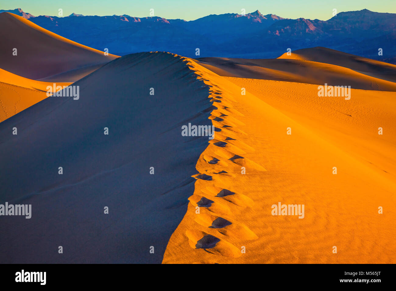 Sandy Desert in Mesquite Flach, USA Stockfoto