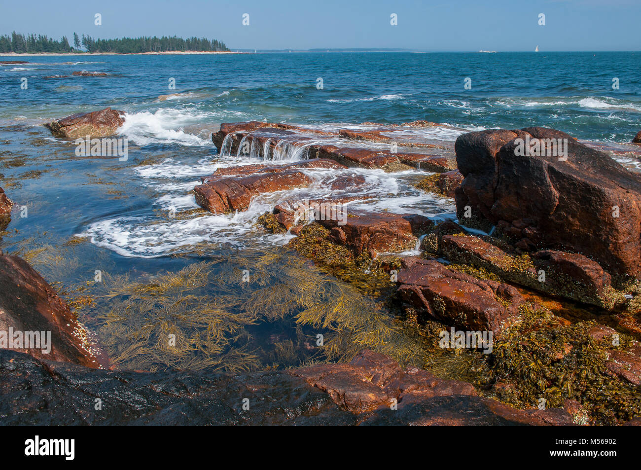 Atlantischen Ozean in der Nähe der Ufermauer, Acadia National Park, Maine Stockfoto