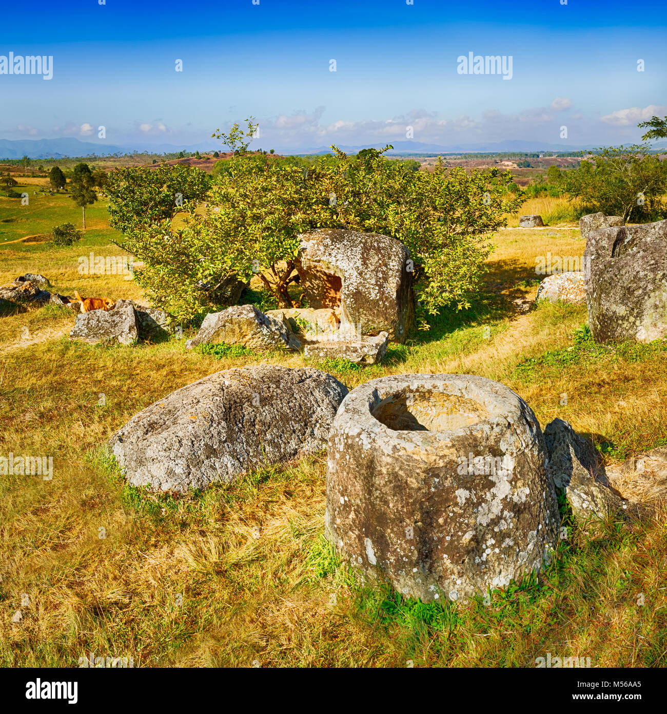 Die Ebene der Tonkrüge. Laos. Panorama Stockfoto