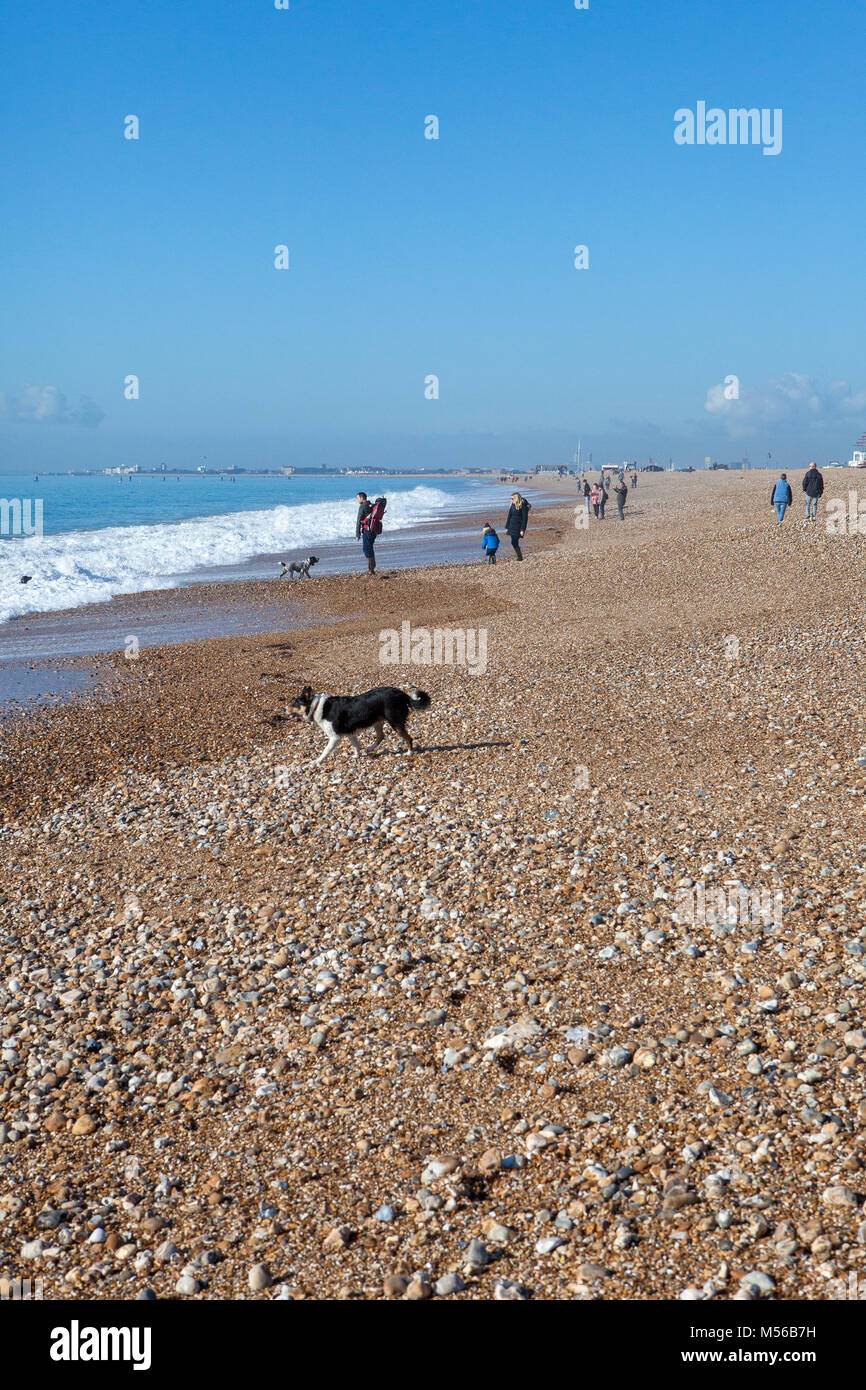 Menschen und Hunde genießen die Februar Sonnenschein am Strand von Hayling Island Stockfoto