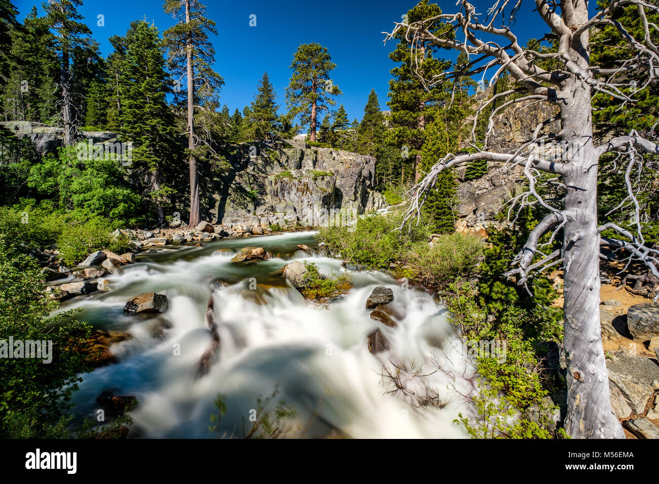 Adler fällt am Lake Tahoe - Kalifornien, USA Stockfoto