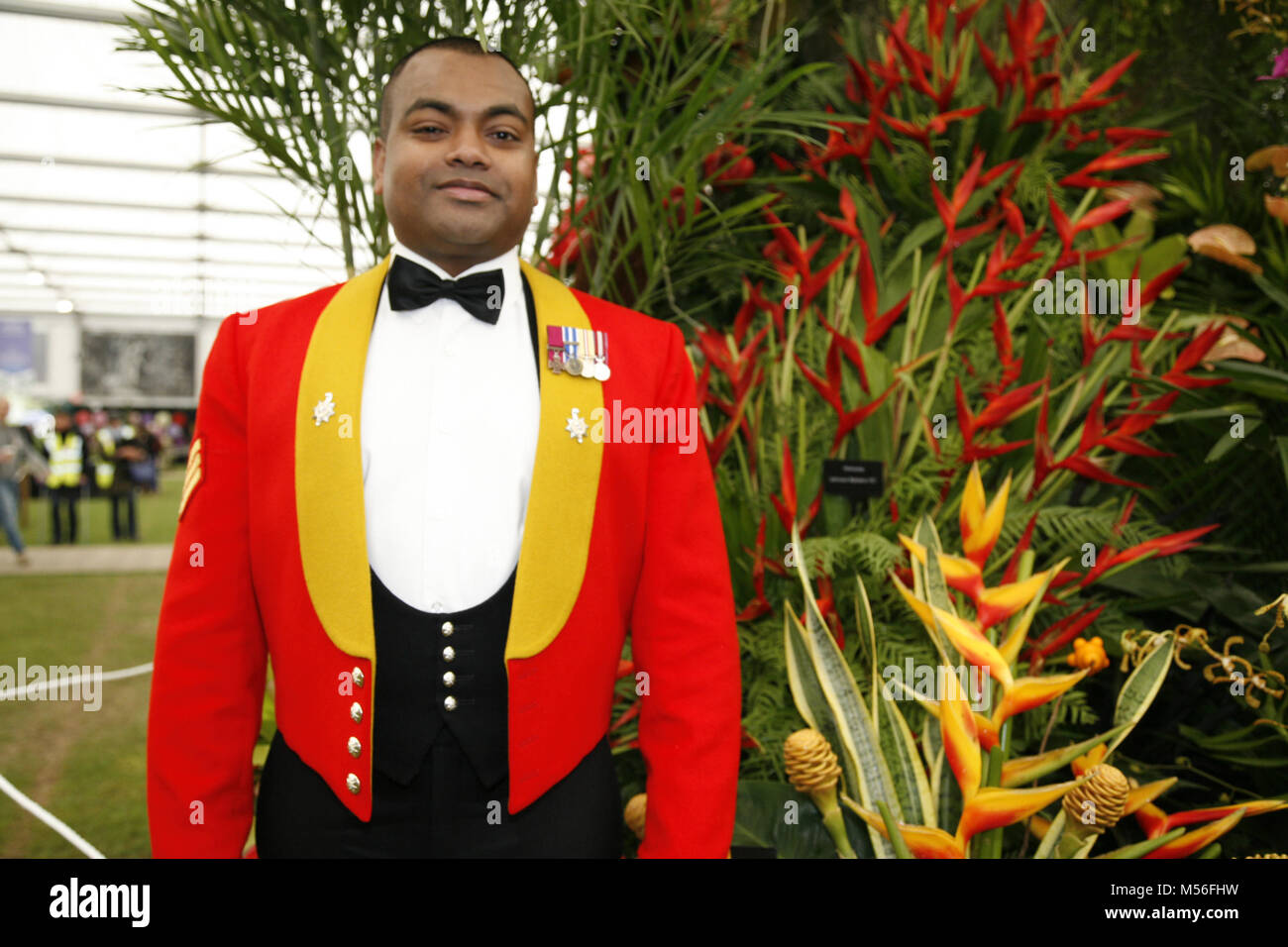 Johnson Beharry VC Stockfoto