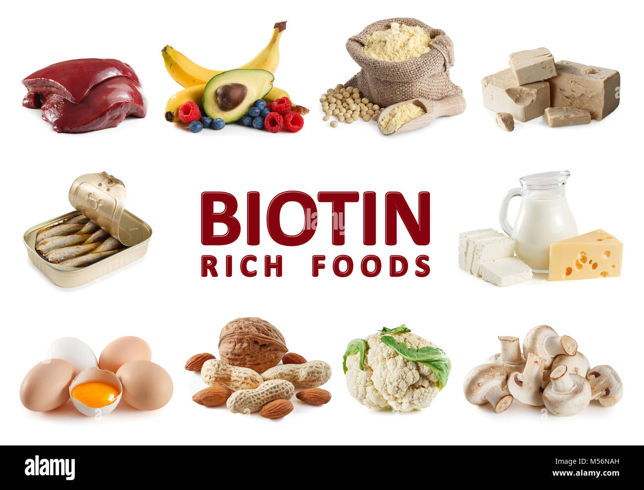 Lebensmittel, die reich an Biotin (Vitamin B7), Leber, Eigelb, Hefe, Sardinen, Sojamehl, Milch, Käse, Hüttenkäse, Banane, Avocado, Blaubeeren, raspber Stockfoto