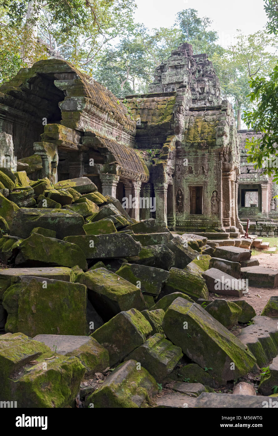 Ruinen von Ta Prohm Tempel mit Dschungel bewachsen in Angkor, Kambodscha Stockfoto
