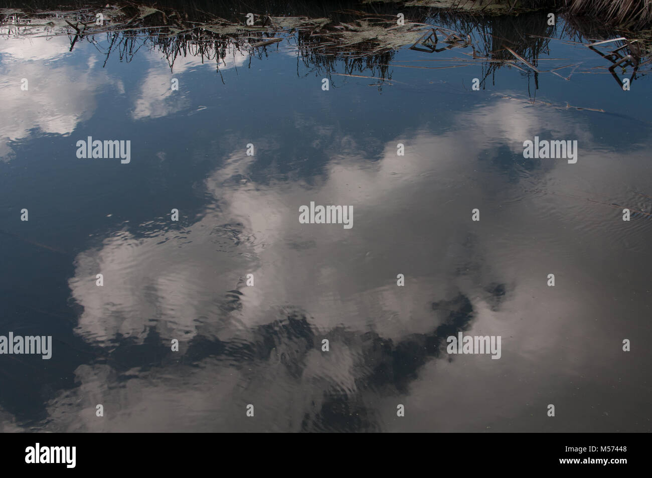 Cloudscape auf dem Wasser Stockfoto