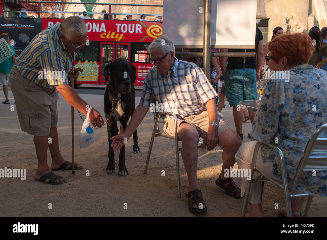 Barcelona, Katalonien. Spanien. Ältere Menschen mit einem Hund. Stockfoto