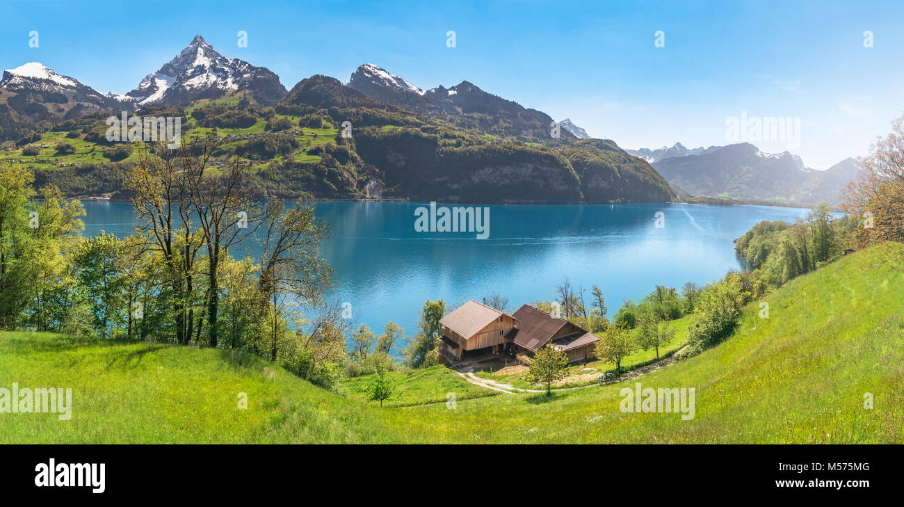 Frühling Panorama mit den Walensee durch die Schweizer Alpen, umgeben von grünen Wiesen und einem Bergdorf auf seinem Ufer, in Quarten, Schweiz. Stockfoto