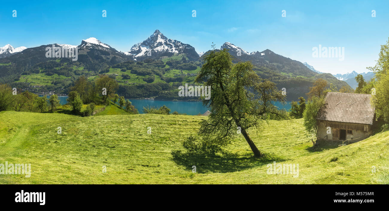 Sonnige Bergpanorama mit einem alten, verlassenen stabil, eine Wiese mit gemähtem Gras, den Walensee und den Alpen Berge, in Quarten, Schweiz. Stockfoto