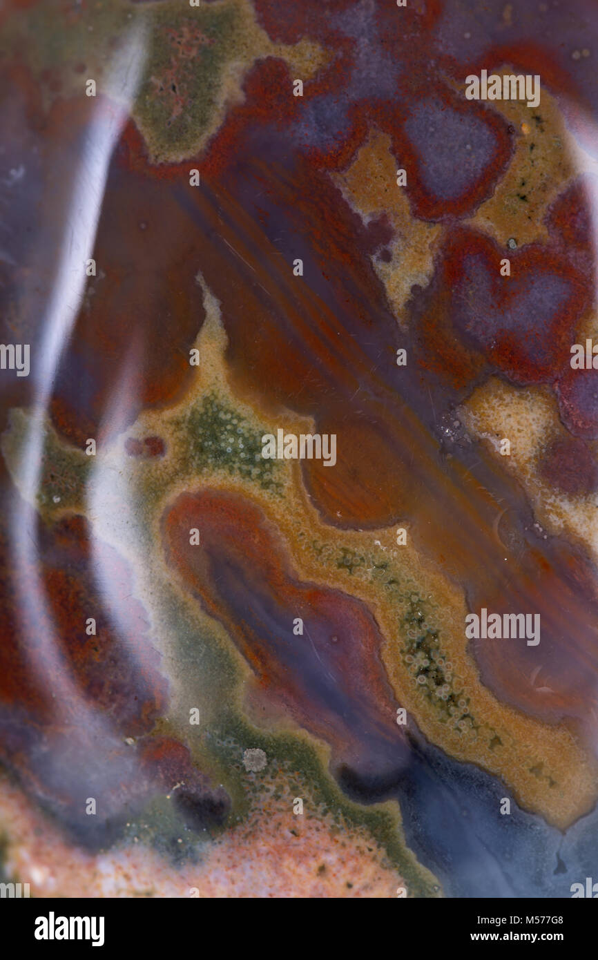 Poliert Ozean-achat palm Stein aus Madagaskar auf weißem Hintergrund Stockfoto