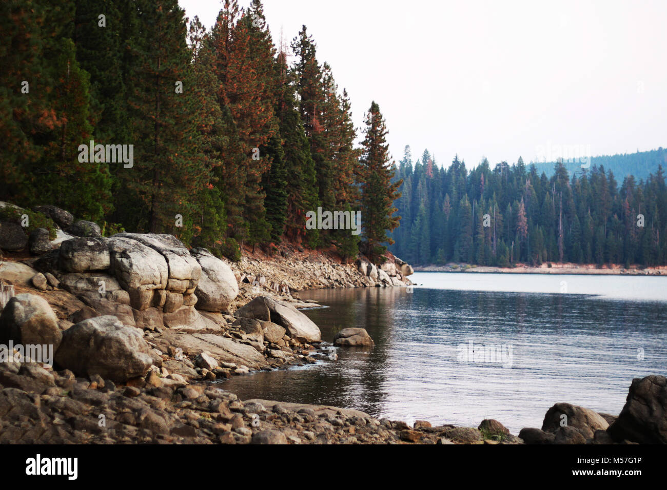 See und Wald Stockfoto