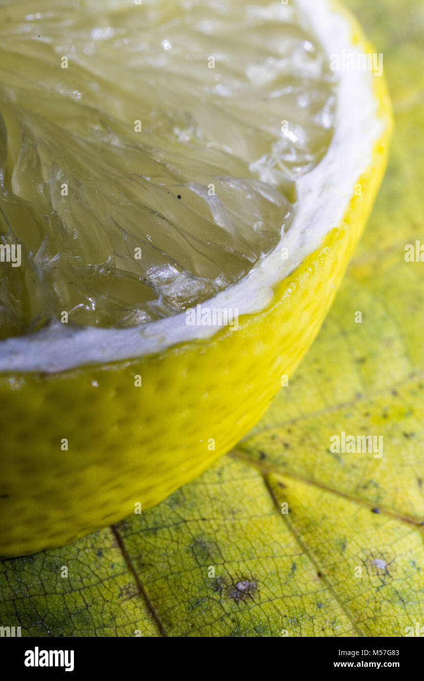 Zitrone, Makro, Obst, Textur, Gelb, Schälen, Blasen, Streifen, Blendung, Wasser, Sauer, Toning Stockfoto