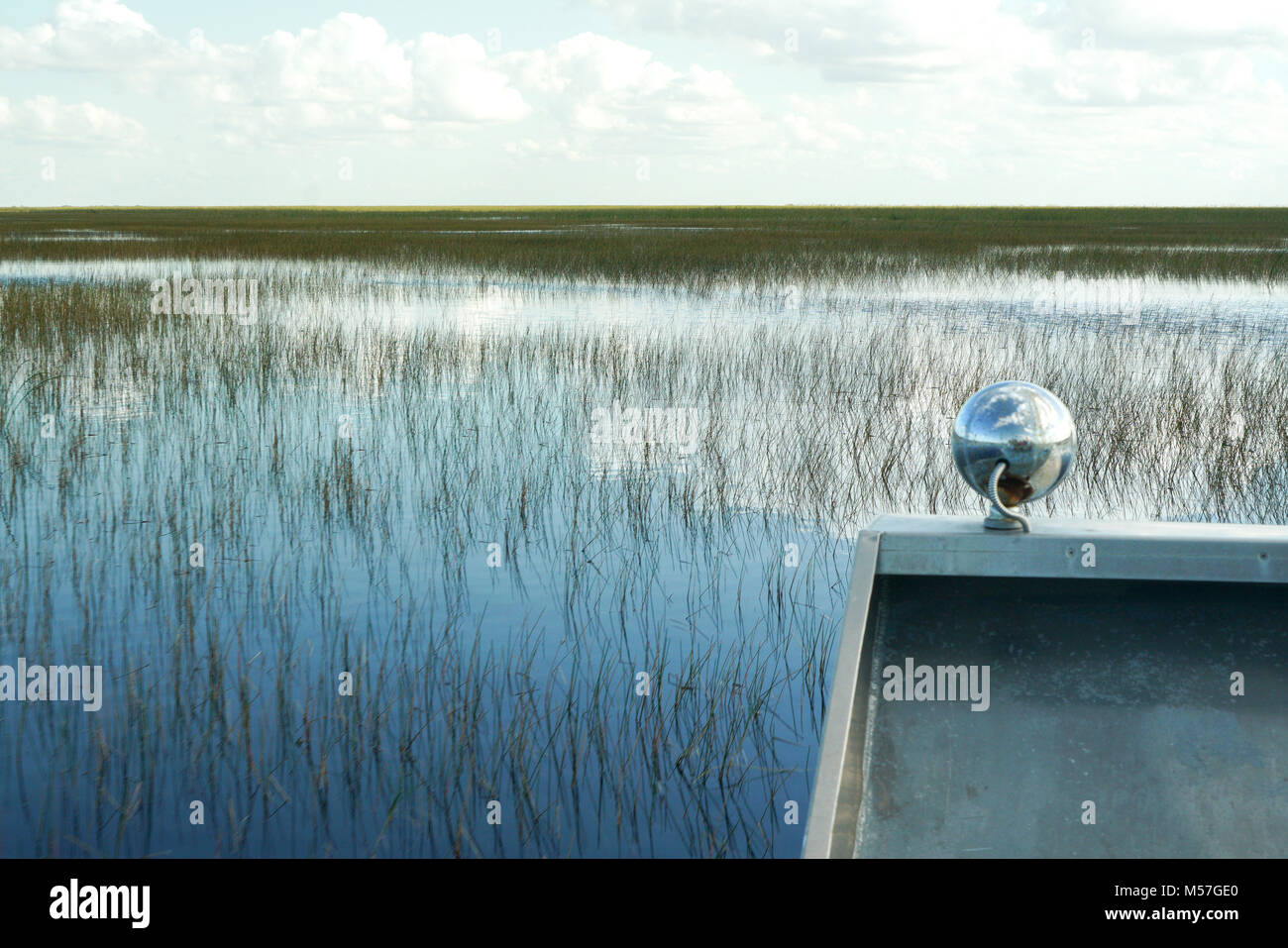 Seegras in Everglades Park, Fort Lauderdale, FL Stockfoto