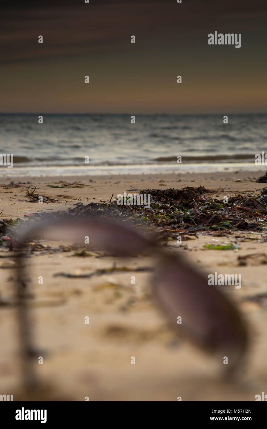 Moody portrait Erfassung von Strand Küste & Horizont als Sonne mit spektakulären Abend Himmel Farben. Weichzeichner, verlassenen Sonnenbrille im Vordergrund. Stockfoto