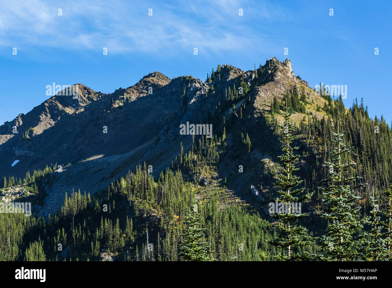 Bergen über Grand Valley in Olympic National Park, Washington State, USA Stockfoto