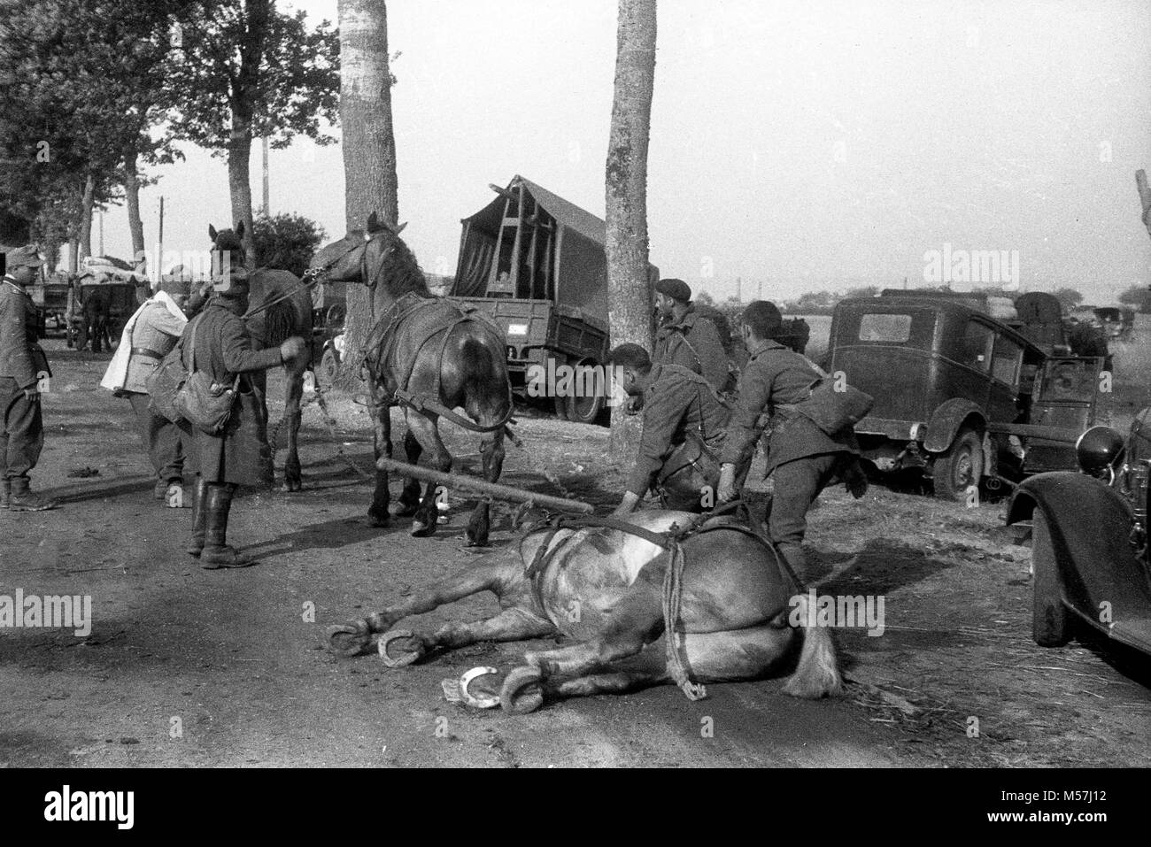 Chaos auf der Straße wie auf der Flucht Flüchtlinge werden aus dem Weg geräumt, damit die einmarschierenden deutschen Truppen in der Nähe von Macon in Frankreich im Juni 1940 während der Schlacht von Frankreich. Pic zwischen 17/6/1940 - 29/6/1940 Stockfoto