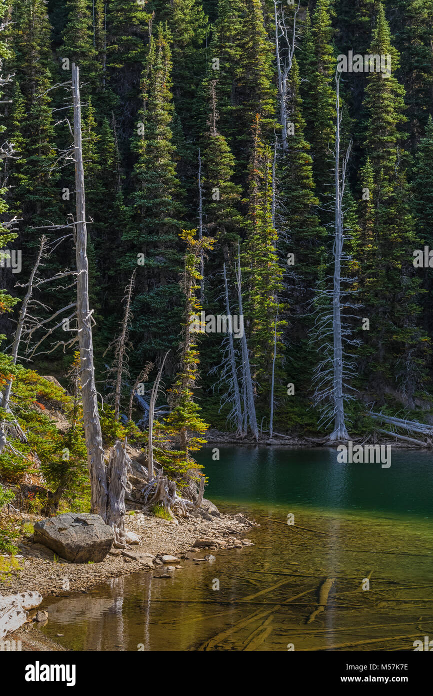 Ufer des Moose Lake, Grand Valley in Olympic National Park, Washington State, USA Stockfoto