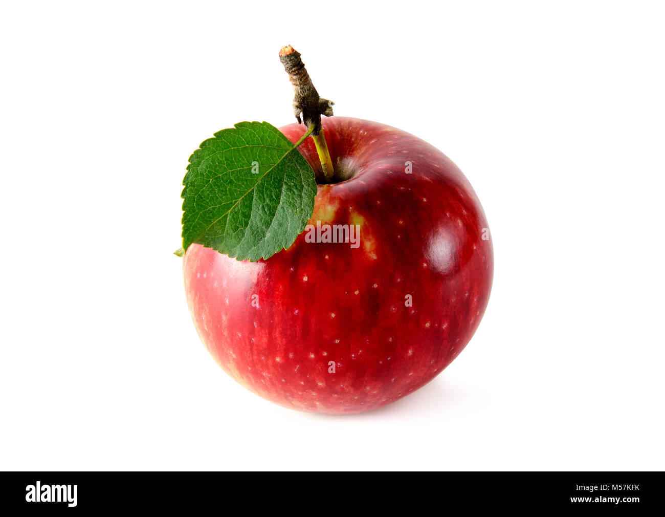 Roter Apfel auf weißem Hintergrund. Konzept - gesunde Früchte aus ihrem Garten. Stockfoto