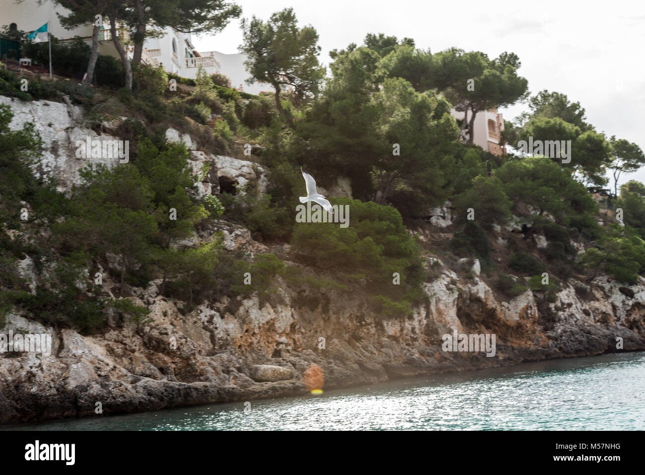 Möwe fliegen über das Mittelmeer in Cala Pi auf der Insel Mallorca, Spanien. Stockfoto