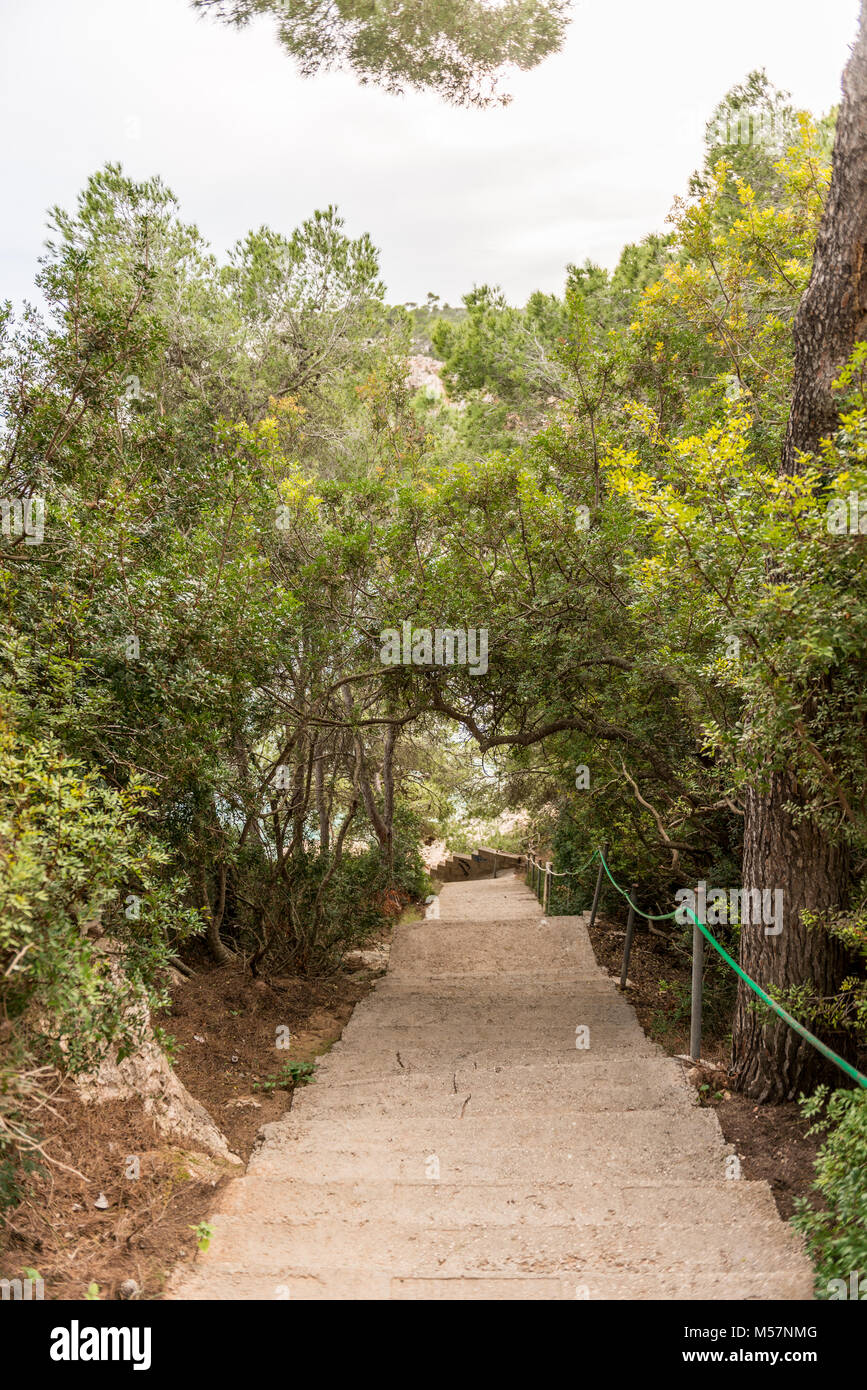 Steile Treppe von einem Pinienwald, die hinunter in Richtung des Caló des Moro auf der Insel Mallorca, Spanien umgeben. Stockfoto
