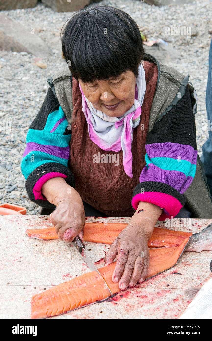 Senior Chukchi Frau schneidet gerade erwischt sallmon an der Küste und bereit, es für die Trocknung Stockfoto